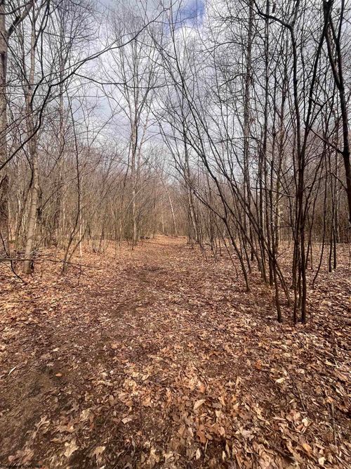 TBD Sugar Valley Rd, Bruceton Mills, WV, 26525 | Card Image