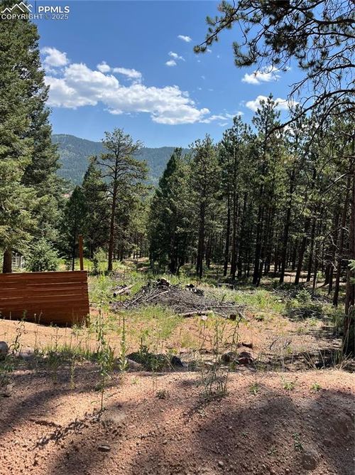 193 Summer Haven Dr, Woodland Park, CO, 80863-9103 | Card Image