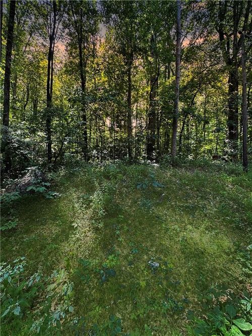 0 Paradise Lake Ave, Morrow, GA, 30260 | Card Image