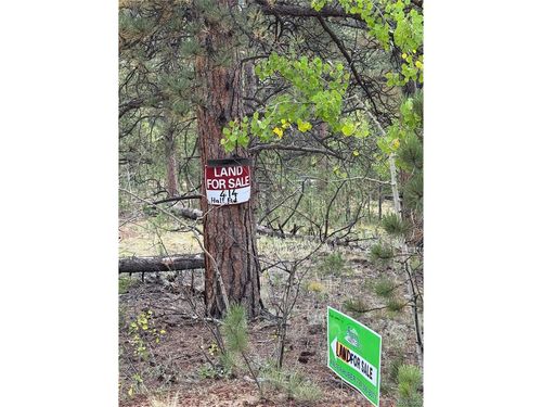 414 Hall Rd, BAILEY, CO, 80421-1548 | Card Image