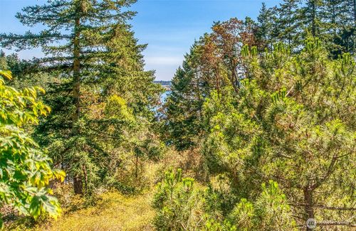 239 Killebrew Lake Rd, Orcas, WA, 98280-5543 | Card Image