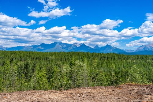 11680 N Fork Rd, Polebridge, MT, 59928-9791 | Card Image