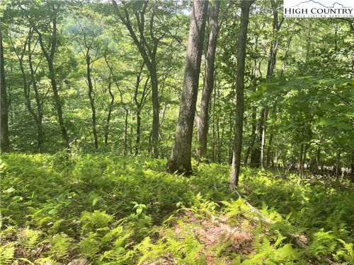 Lot 66 Bob Timberlake Drive, Boone, NC, 28607 | Card Image