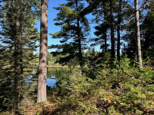 14231 County Road Fnn, Ishpeming, MI, 49849-8624 | Card Image