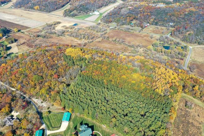 28.7 Acres Turkey Road, Home with 0 bedrooms, 0 bathrooms and null parking in BERRY WI | Image 11