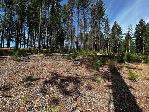 4904 Mount Pleasant Dr, Grizzly Flats, CA, 95636-9750 | Card Image