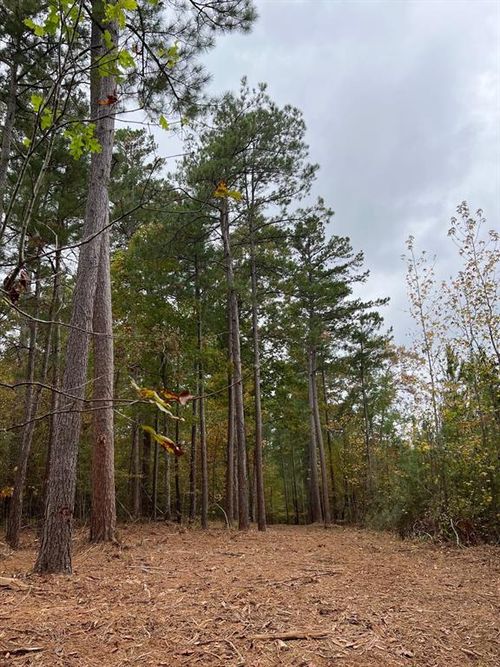 4310 County Road 1090, Center, TX, 75935 | Card Image