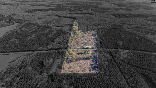 1856 River Rd, Greeleyville, SC, 29056-9303 | Card Image