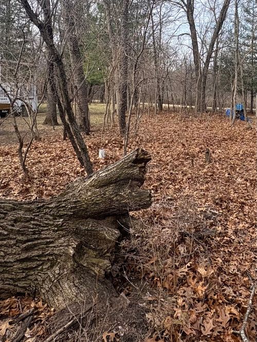26/141 Woodhaven, Sublette, IL, 61367 | Card Image