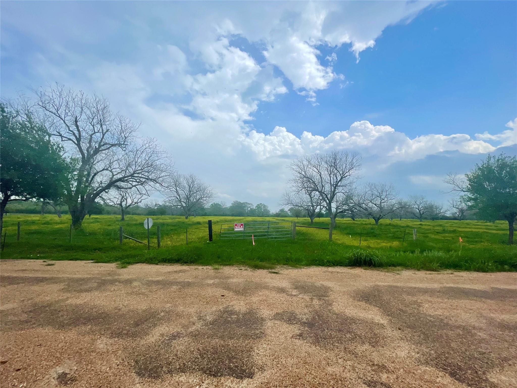 Farm in Wharton 3