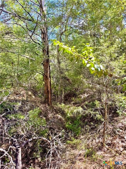 TBD Rabel Rd, Rosanky, TX, 78953 | Card Image