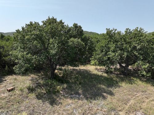 1093 Lemons Gap Rd, Tuscola, TX, 79562-1918 | Card Image