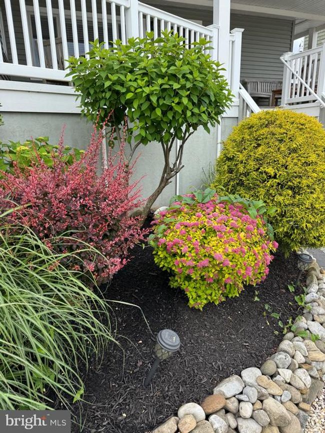 10 W Essex Ave, Home with 3 bedrooms, 3 bathrooms and null parking in Harvey Cedars NJ | Image 60