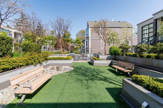 Common courtyard | Image 26