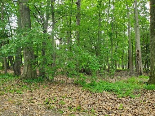 0 Timbers Dr, Houghton Lake, MI, 48629 | Card Image