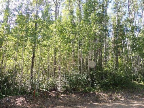 Lot #11 Wapiti River Sw-21-69-10-W6, Rural Grande Prairie No. 1, County of, AB, T0H1J0 | Card Image