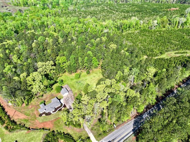 0 Ga Highway 87, Home with 0 bedrooms, 0 bathrooms and null parking in Juliette GA | Image 6