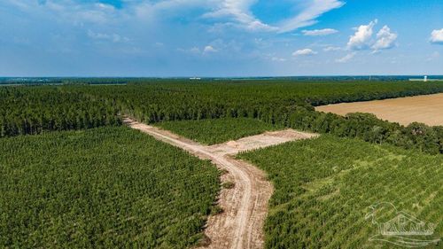 LOT 107 Posie Forest Rd, Milton, FL, 32570 | Card Image