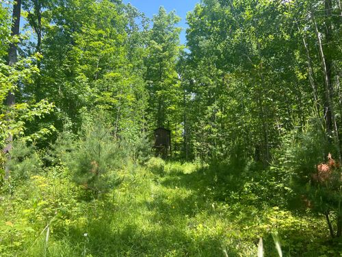 TBD 40a Wilderness Trl, Crystal Falls, MI, 49920 | Card Image