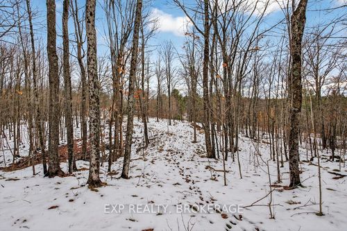 0 Hilltop Rd, Mountain Grove, ON, K0H2E0 | Card Image