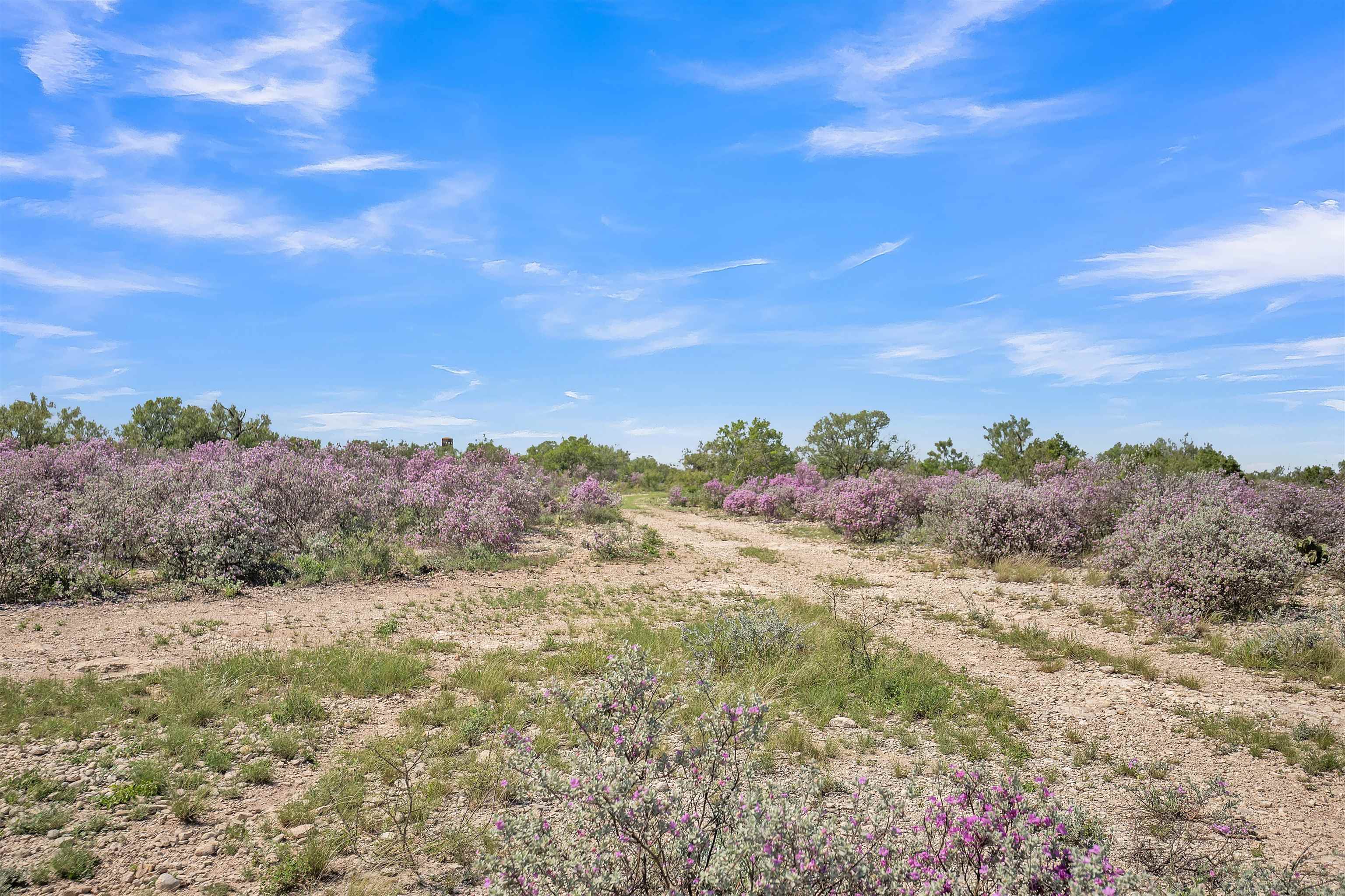 Land in Del Rio 2