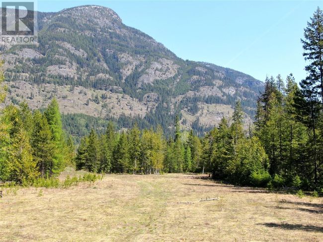 3809 Passmore Upper Rd, Home with 0 bedrooms, 0 bathrooms and null parking in Passmore BC | Image 7
