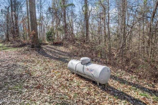 20250707195751153100000000-o | Image 14