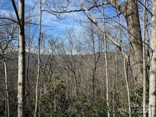 L13 S Black Bear Ct, Sapphire, NC, 28774 | Card Image