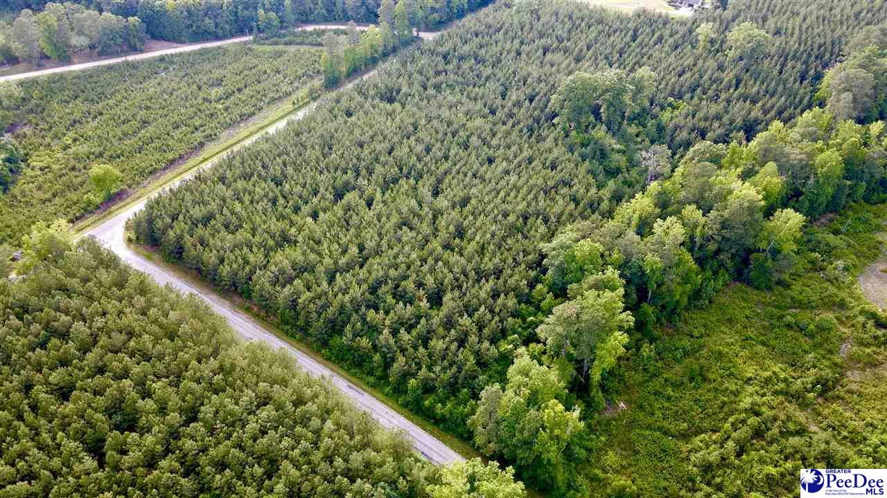 Land in Chesterfield 3