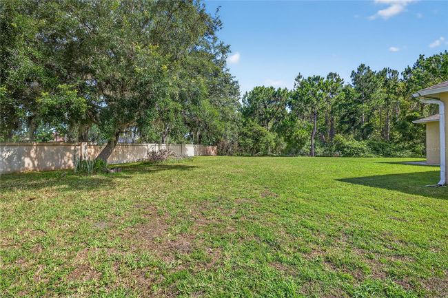 1835 Fircrest Ct, House other with 4 bedrooms, 3 bathrooms and null parking in WESLEY CHAPEL FL | Image 40
