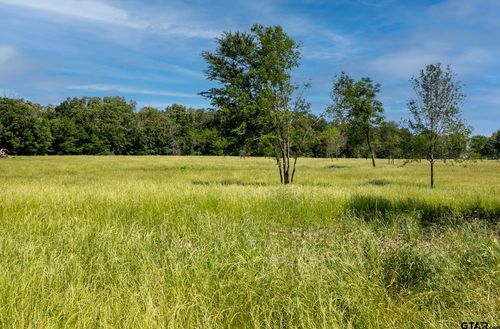 TBD 004 Vz County Road 1805, Grand Saline, TX, 75140 | Card Image