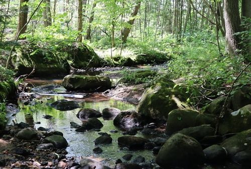 979 Chestnut St, Athol, MA, 01331-2906 | Card Image