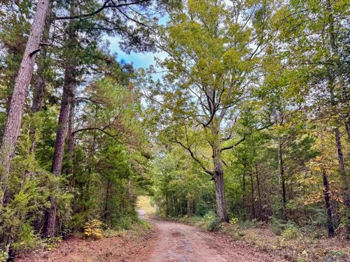 bethlehem-cemetery-rd-000 County Road 2367, Marietta, TX, 75566 | Card Image