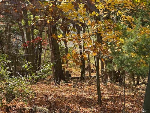 9835 Miramichi Dr, Evart, MI, 49631-9718 | Card Image