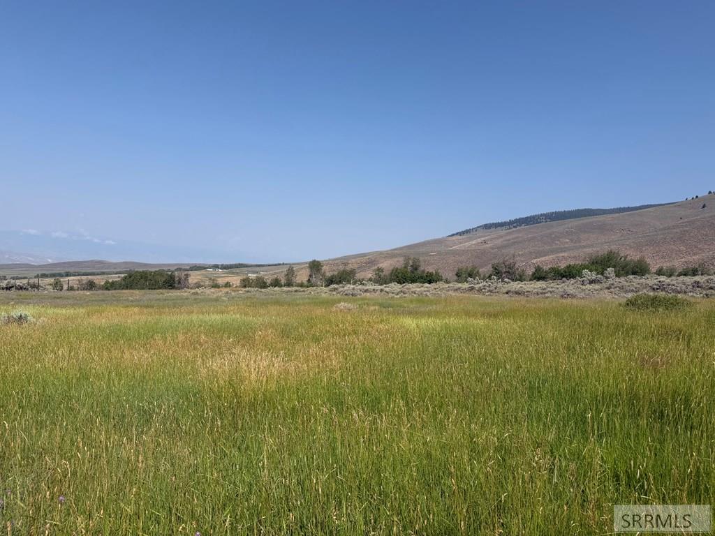 Farm in Salmon 5