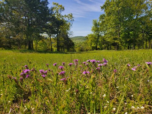 22-21-22 Cedar Falls Rd, Shell Knob, MO, 65747 | Card Image