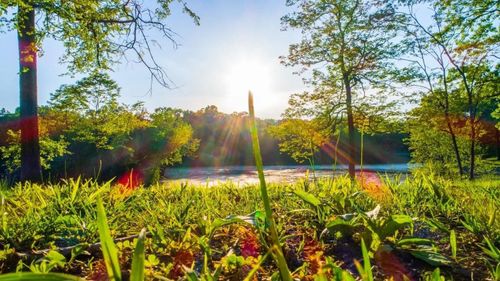 0 Forest Retreat Rd, Hendersonville, TN, 37075 | Card Image