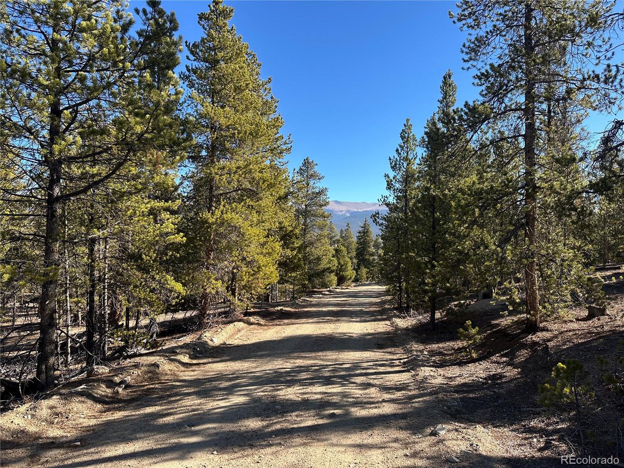 Land in Leadville 4