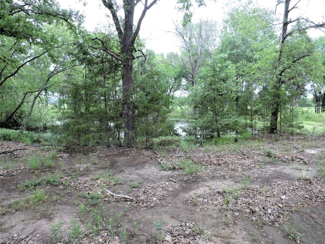 0 E Highway 175, Home with 0 bedrooms, 0 bathrooms and null parking in Mabank TX | Image 7