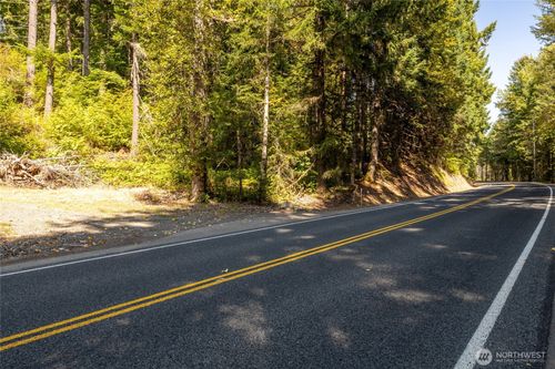 0 Lt 1&2 Skate Creek Rd S, Packwood, WA, 98361 | Card Image