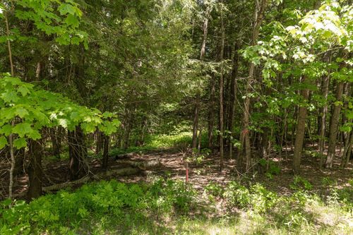 1243 North Hollow Road, Stowe, VT, 05672 | Card Image