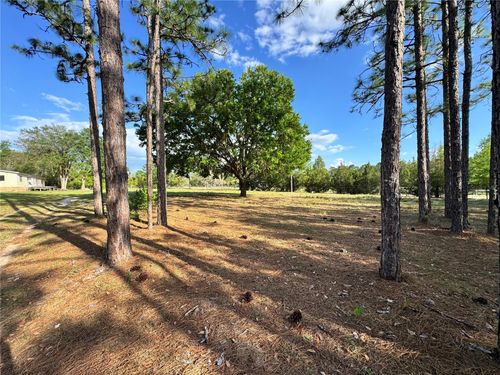 4551 Ne 132nd Ct, WILLISTON, FL, 32696-6033 | Card Image
