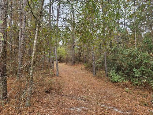 000 Main St, Ray City, GA, 31645 | Card Image