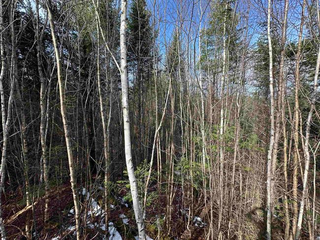 Lot 109 Steeple View Dr, Home with 0 bedrooms, 0 bathrooms and null parking in Bethlehem NH | Image 13