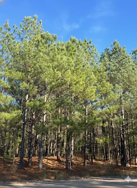 Land in Broken Bow