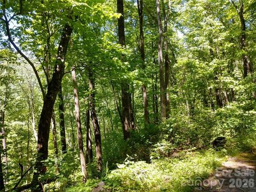 11-00 Hudson Valley Dr, Waynesville, NC, 28786 | Card Image