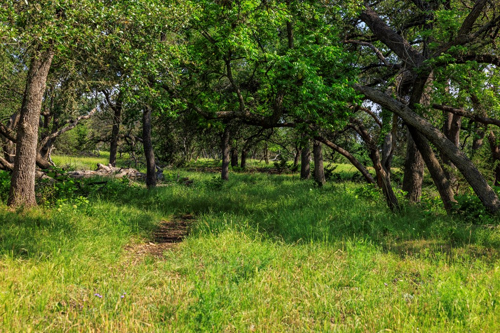 Farm in Kerrville 2