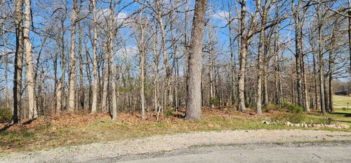 TBD Nishma Cir, Cherokee Village, AR, 72529 | Card Image