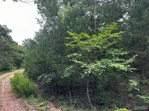 TBD Spring Lake Dr Avenue, Warsaw, MO, 65355 | Card Image