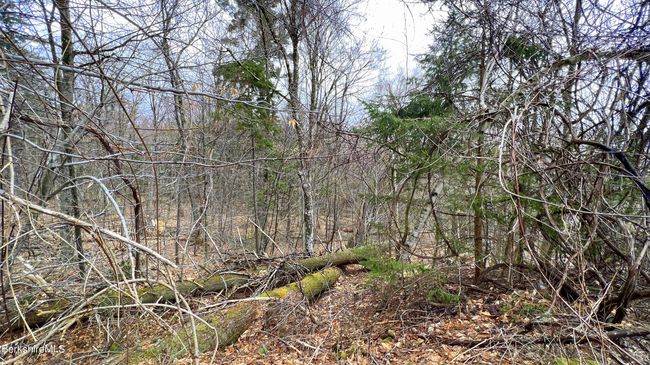9 Perch Close, Home with 0 bedrooms, 0 bathrooms and null parking in Becket MA | Image 6
